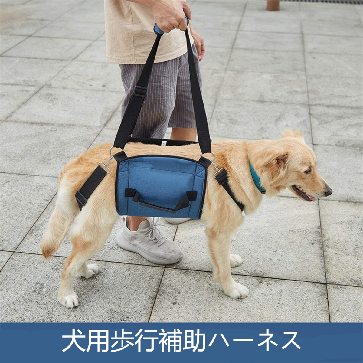 犬用歩行補助ハーネス｜介護 脱着簡単 快復中 病気 安全帯 安定性|undefined