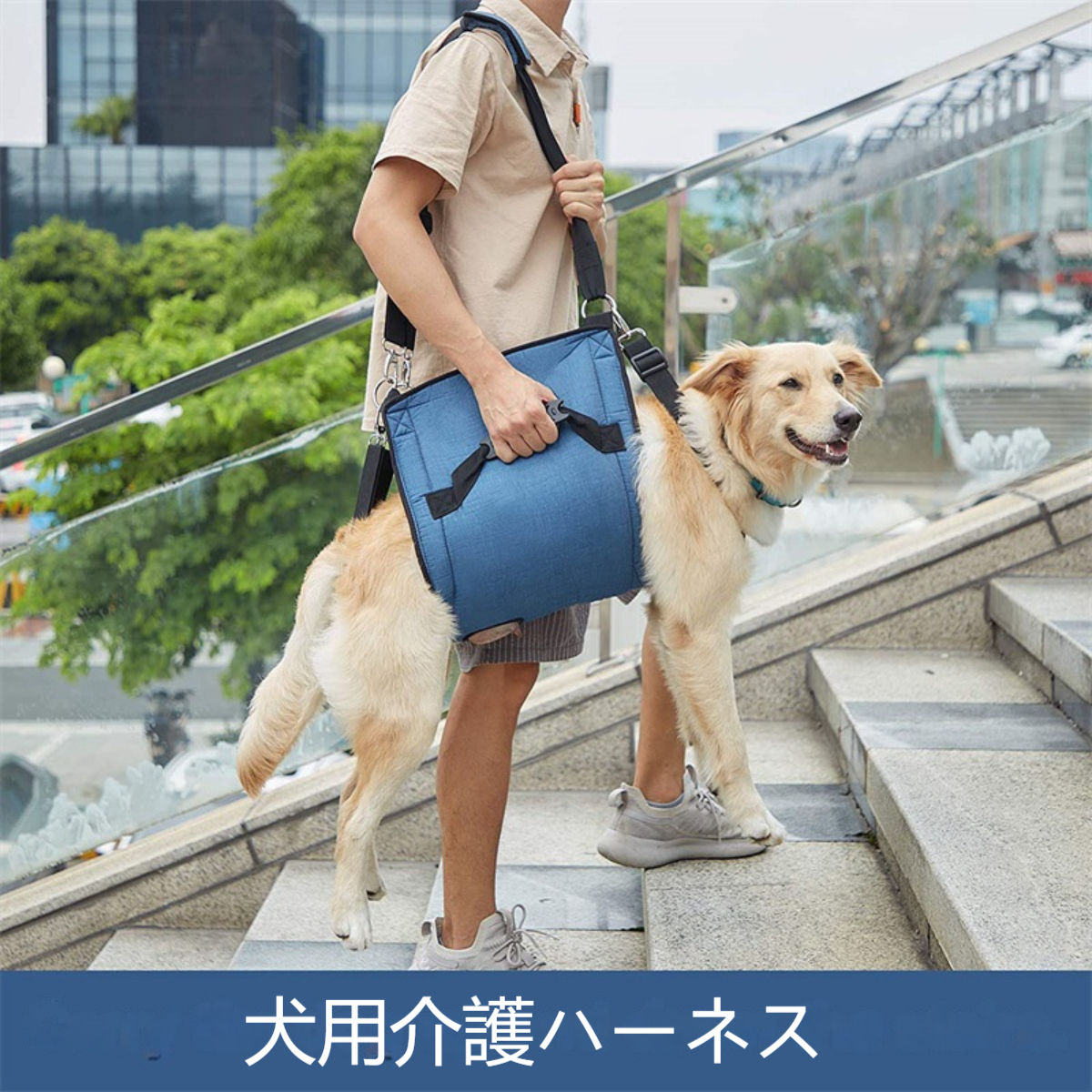 犬用歩行補助ハーネス｜介護 脱着簡単 快復中 病気 安全帯 安定性|undefined