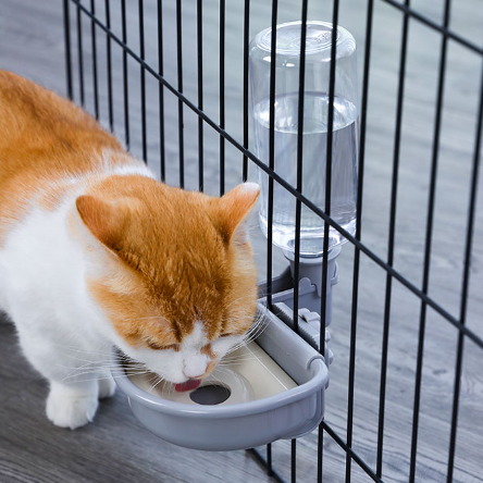 ペット水飲み器｜縦式 ペットかごに固定する 口回り濡れない 顎ニキビを防ぐ|undefined