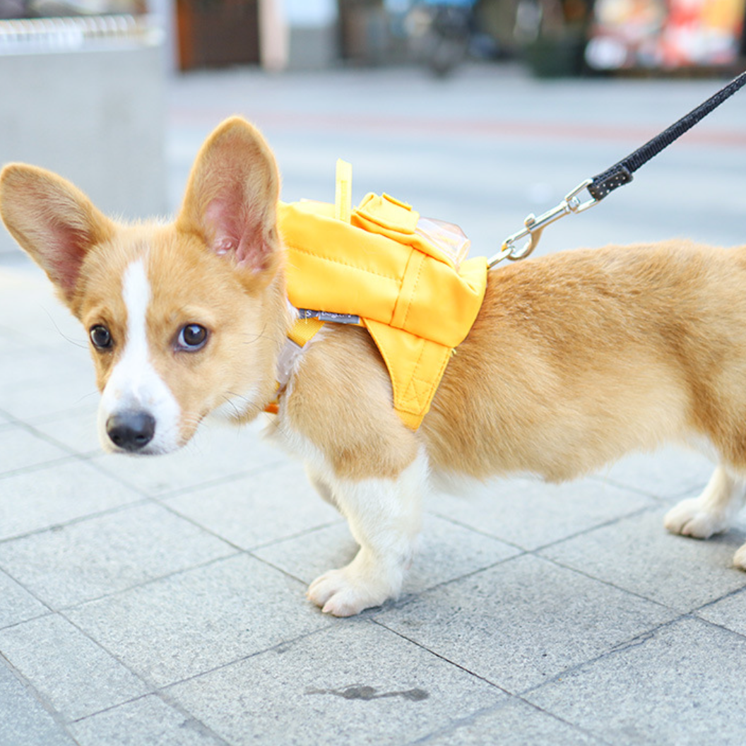 ペット自己用バック｜犬用リュックサック おやつやウンチ袋などを入れる可能 お散歩に便利|undefined