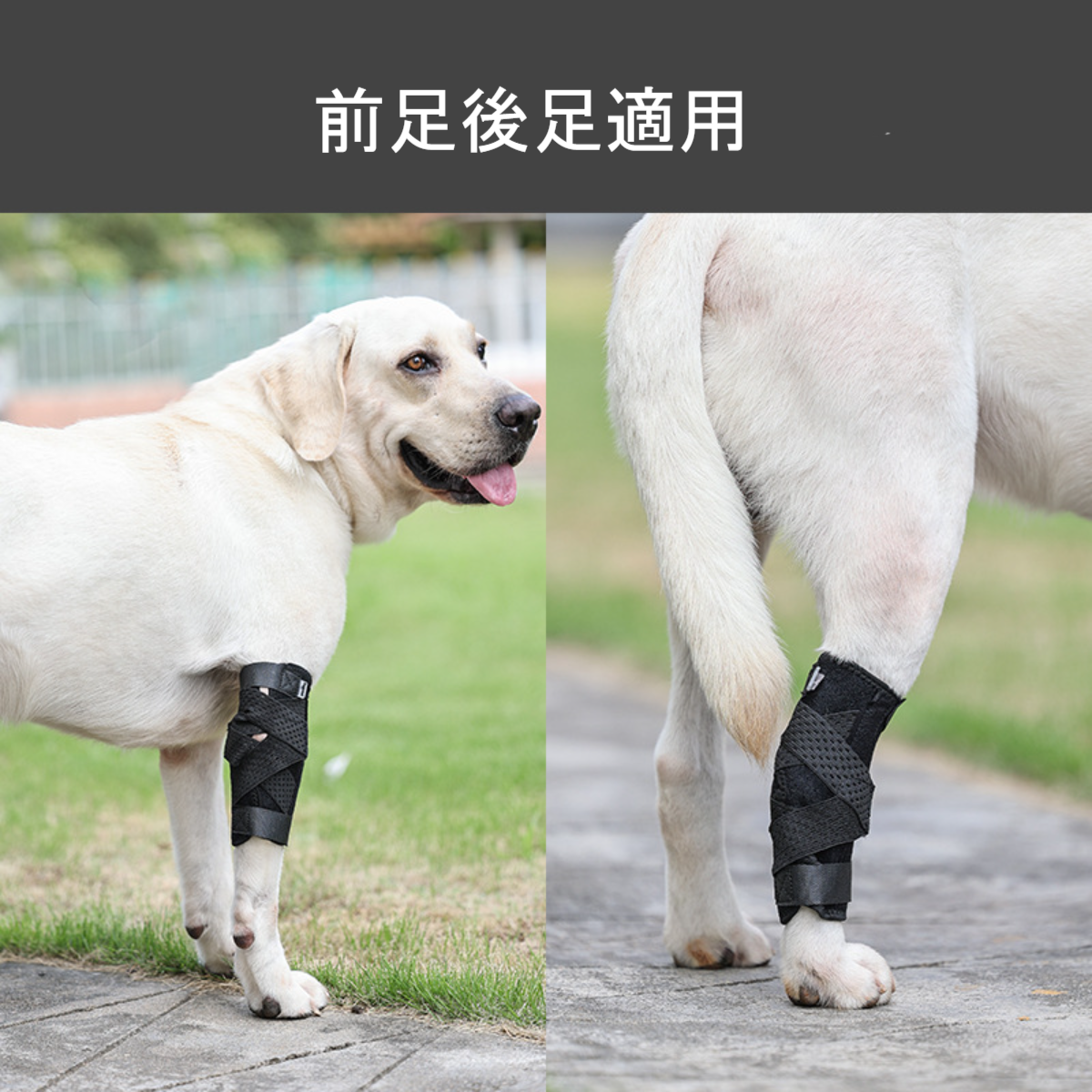 犬用介護帯｜ブレース サポーター 犬骨折治療 関節プロテクター 傷舐め防止 傷口介護 怪我防止 術後ウェア 足の保護 調節可能 柔軟 耐衝撃|undefined