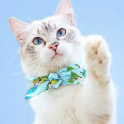 【KARA PET】ペット用クールダウンアイススカーフ｜夏用の猫用ネックウォーマー