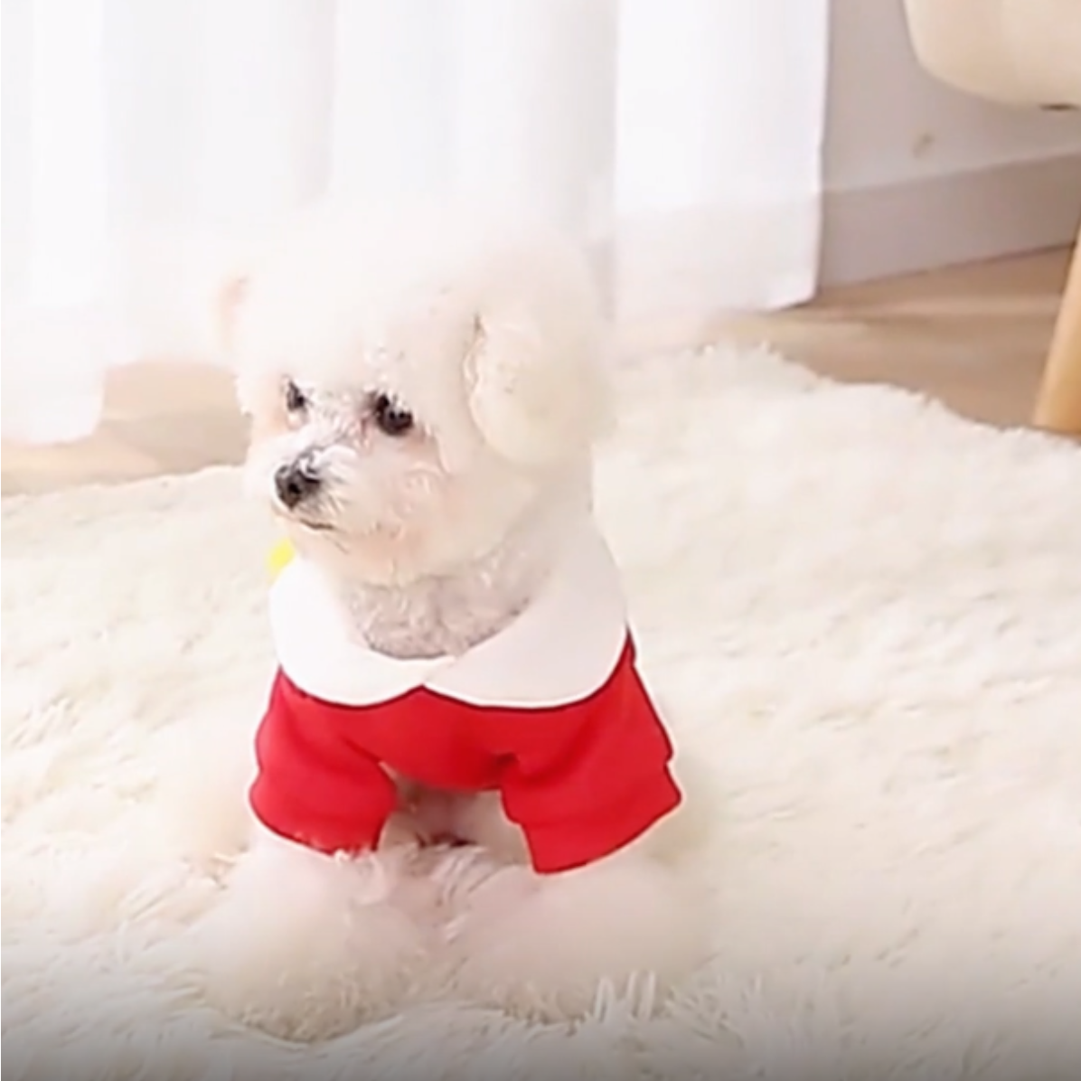 ペット服｜犬服 かわいい 秋冬 あたたかい 抜け毛防止 お出かけ 柔らかい 中小型犬|undefined