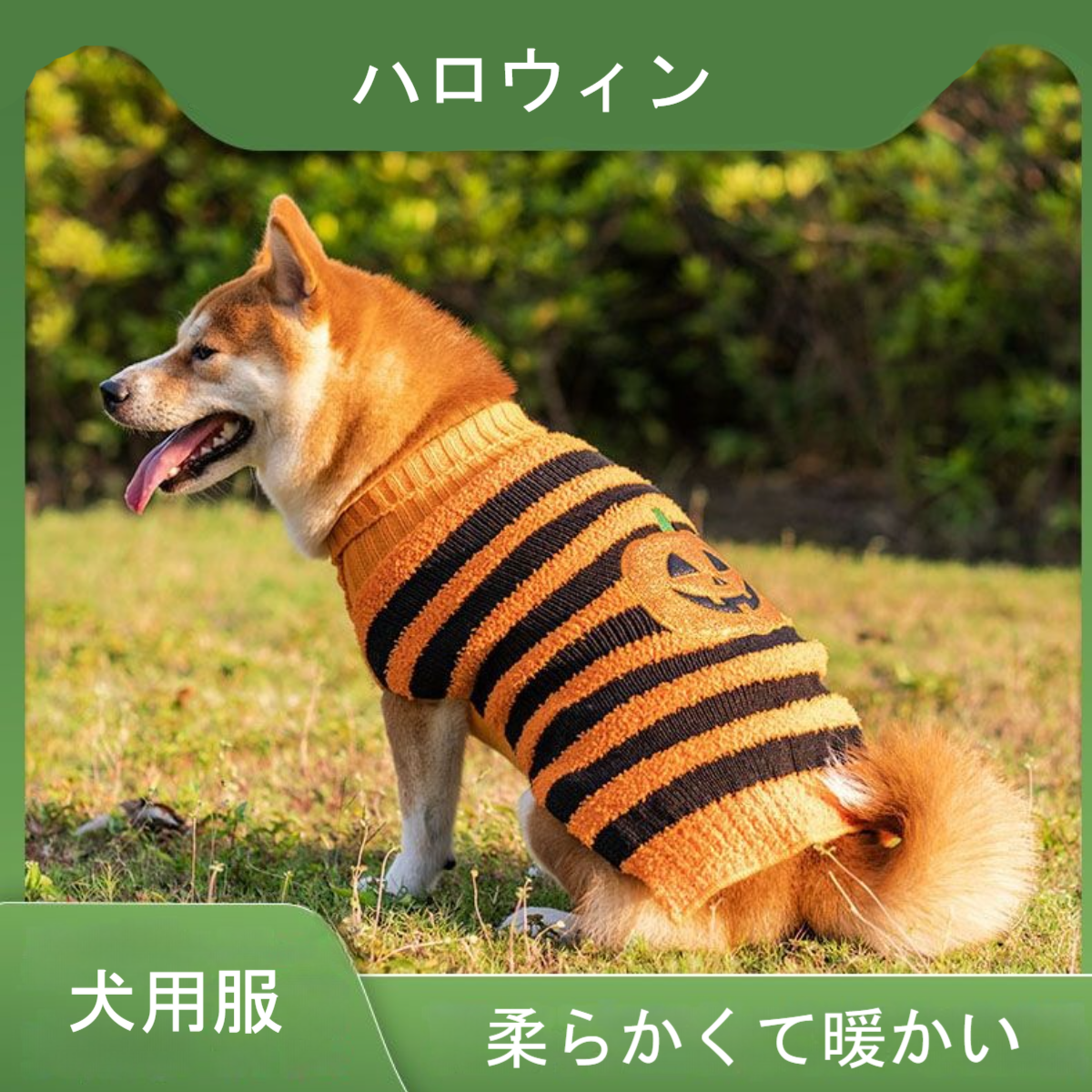 犬用服｜ハロウィン 柔らかい 暖かい かわいい かぼちゃ柄 お出かけ おしゃれ|undefined