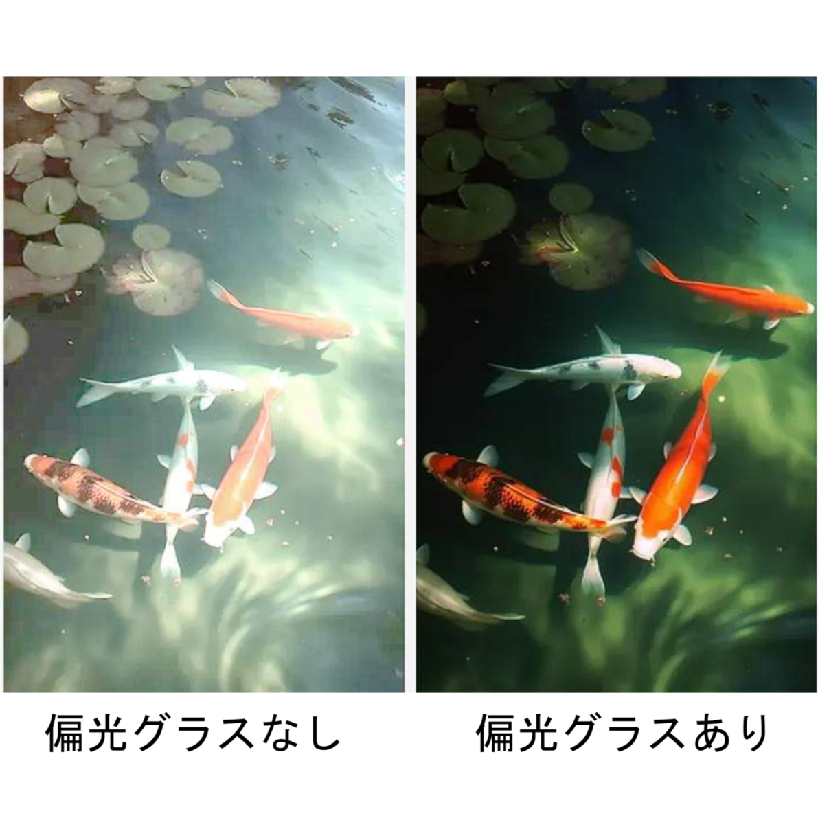 調光サングラス｜快速変色/偏光レンズ/紫外線感知・調光レンズ/アウトドア|undefined