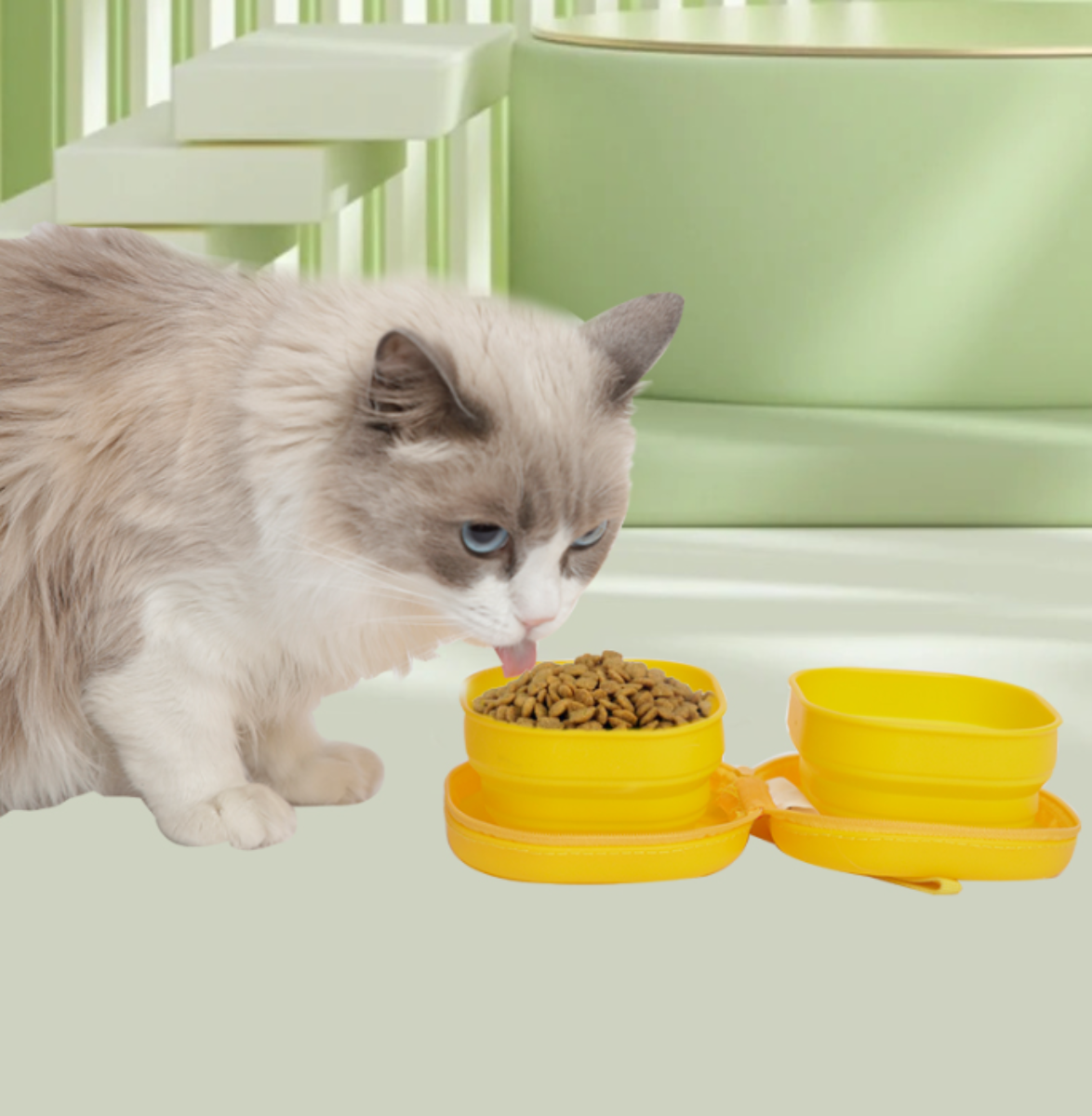 【PETSEEK】ビー・ダックコラボ限定！ペット用ボウル｜折りたたみボウル・屋外・シリコン製・ポータブルデザイン|undefined