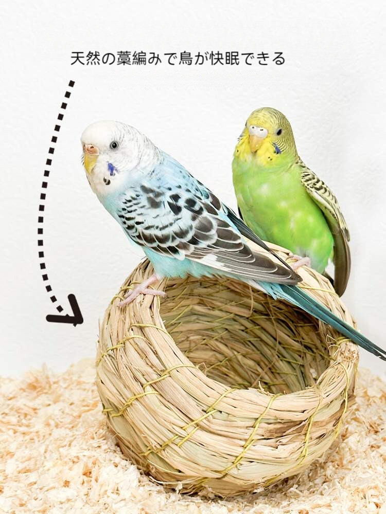 小松ニット コマツニット レオタード 4L 【公式通販】