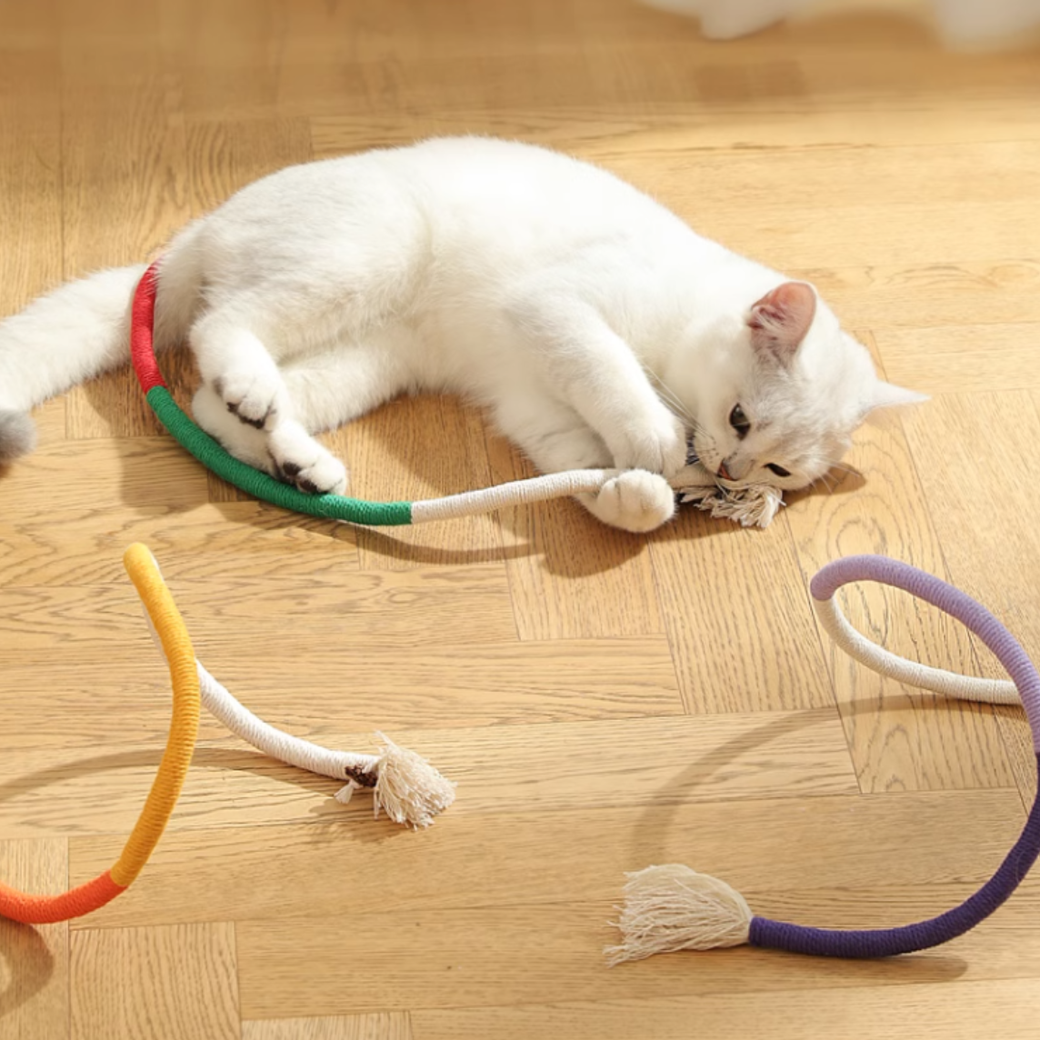 大人気の 猫用品 通販 | 7sGood通販