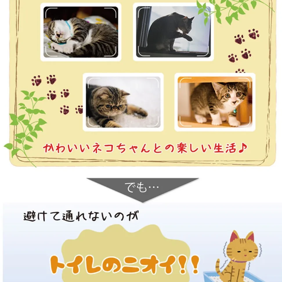 694567558833147904.jpg?x-oss-process=image/format,webp