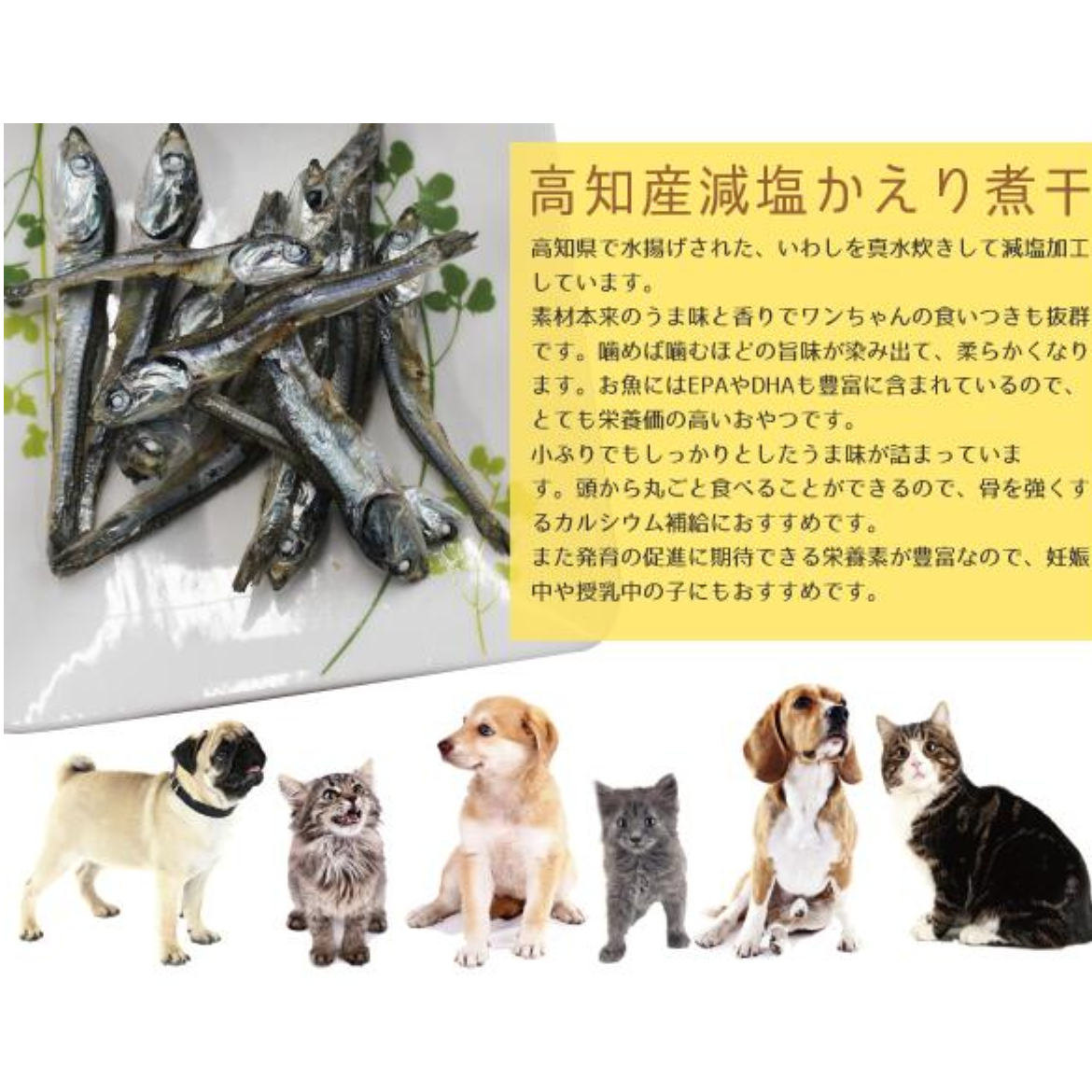 犬猫おやつ｜無添加・高知県産減塩かえり煮干し100ｇ・日本製・ペットスタジオ|undefined