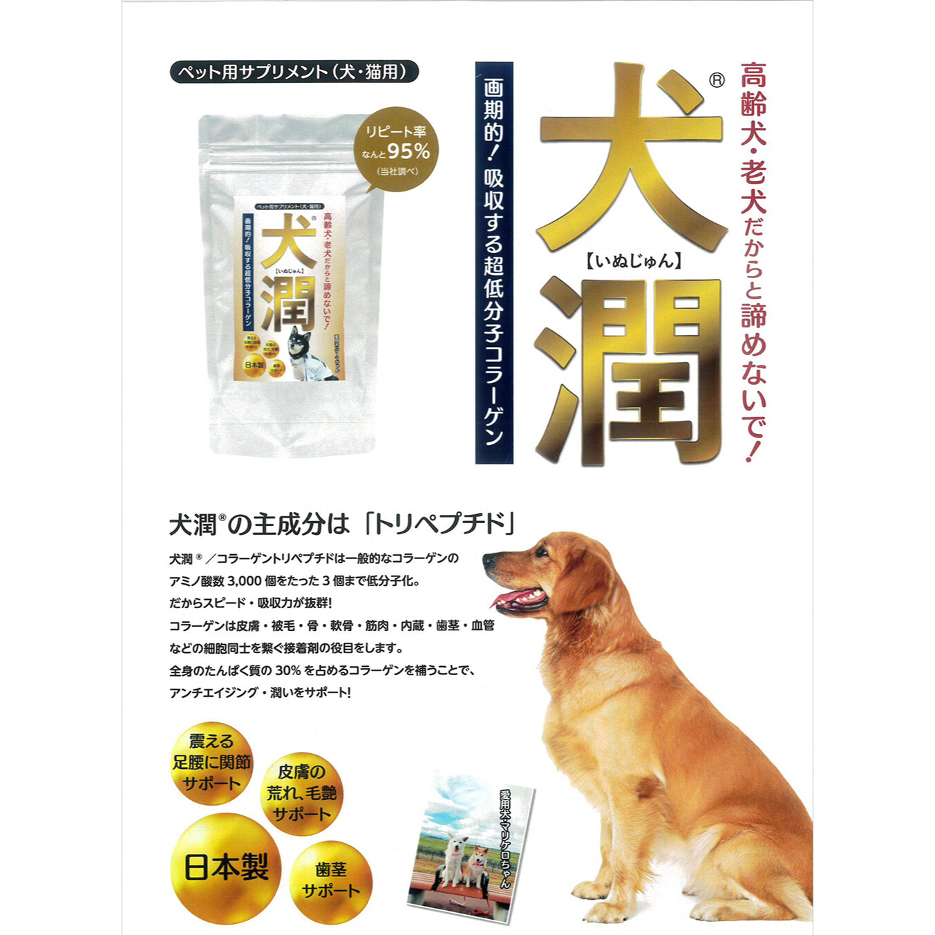 犬猫用サプリ｜ペット用健康補助食品・お手入れ用品・トリーツ・犬潤・足腰・骨・腱・筋・皮膚|undefined