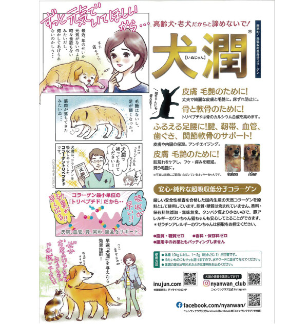 犬猫用サプリ｜犬潤・1ｇ×5本（2.5kgの小型犬約20日分）・5袋セットスティックタイプ コラーゲン・トリペプチド |undefined