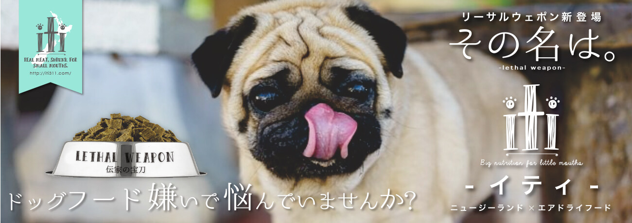 iti イティトリーツ ヘルスケアトリーツ｜ エイジングケア 犬猫用|undefined