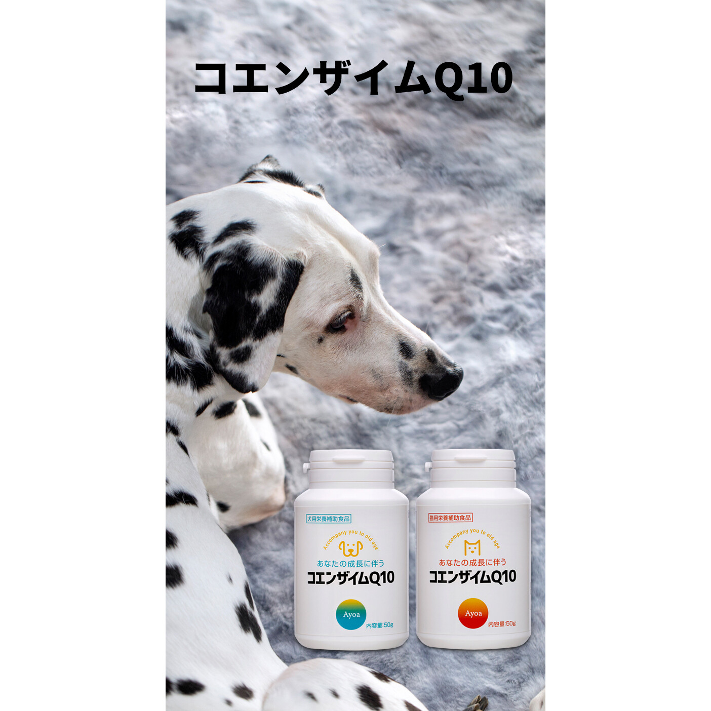  犬猫用 栄養補助食品|コエンザイムQ10 サプリメント|undefined