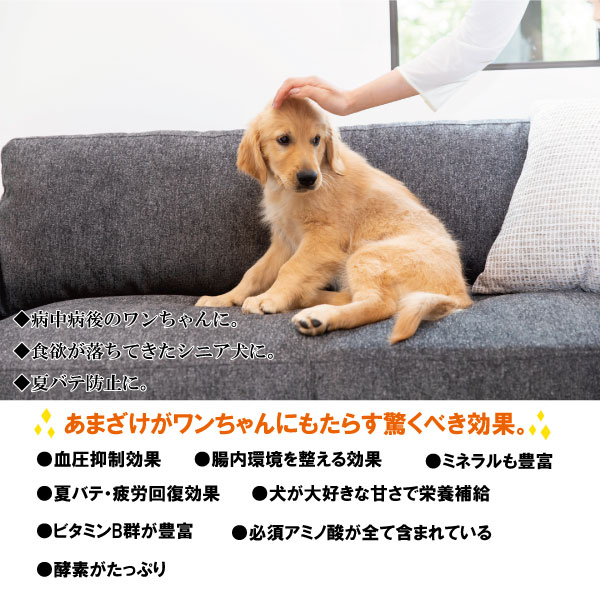 コマチナプレミアム｜あまざけ・乳酸菌プラス フルーツ4種・180ml・甘酒・犬用・クリスマス プレゼント|undefined