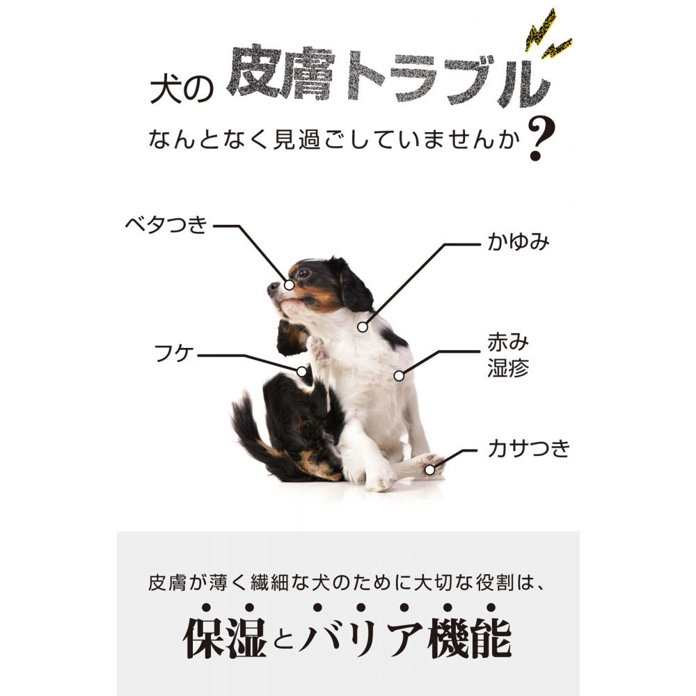 ワンプー 犬用 シャンプー｜ 日本製 敏感肌 低刺激 無添加 無香料 アミノ酸シャンプー 全犬種 ふわふわ Wanpoo|undefined