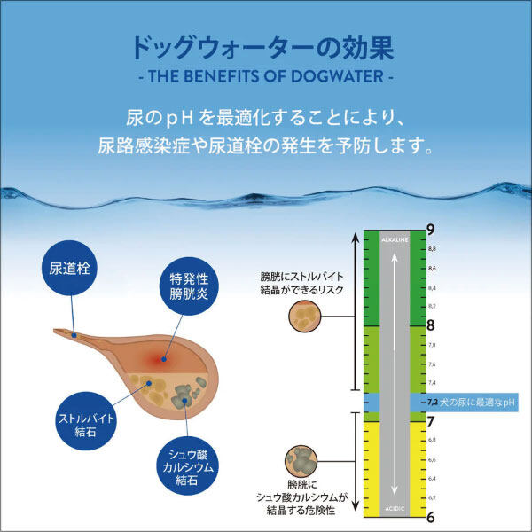 ドッグ ウォーター｜ファンタジーワールド・ DOG WATER・カナダ産・愛犬のために開発された最適な飲み水|undefined