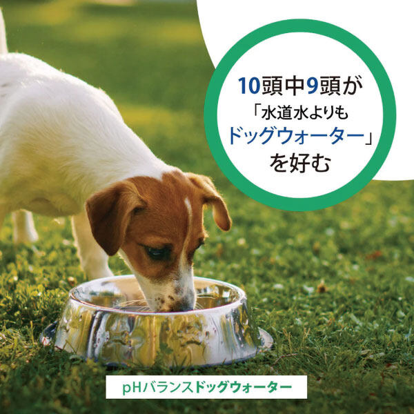 ドッグ ウォーター｜ファンタジーワールド・ DOG WATER・カナダ産・愛犬のために開発された最適な飲み水|undefined