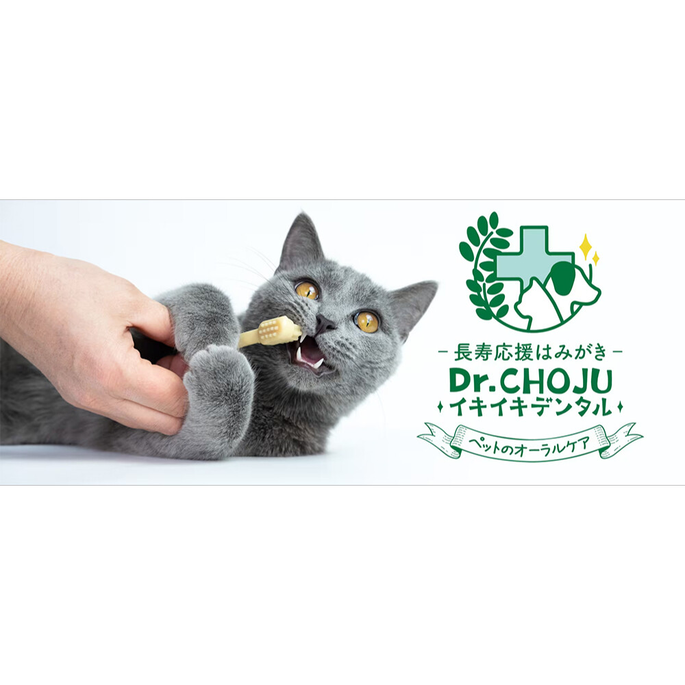 歯みがき粉｜ペット用デンタルケア製品とフードオイル・犬猫用|undefined
