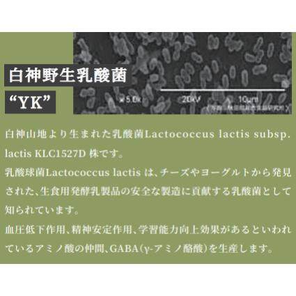 あまざけ調味料｜白神野生乳酸菌・「YK］犬用・ おやつ・ しつけ・ トッピング・ 飲む点滴|undefined