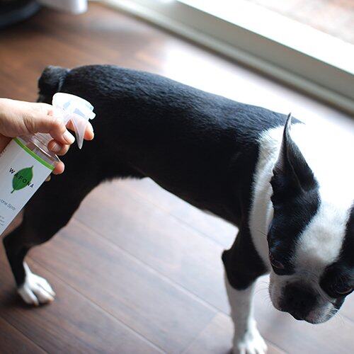 ペットケア用品 ｜WAFONA（ワフォナ）・犬用品・ 猫用品・ 天然成分・ 植物成分・ 化学合成物質不使用・安全・安心|undefined