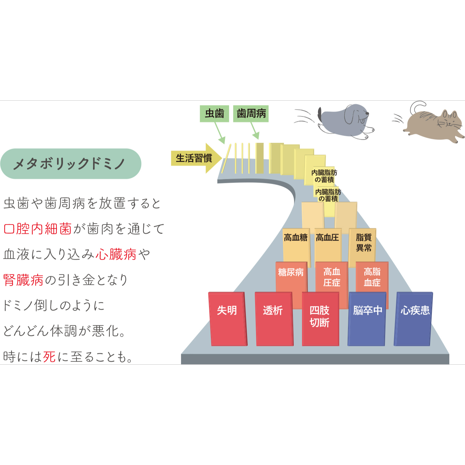 ペット用デンタルケアセット｜安心・安全・犬用・猫用・ワンちゃん・猫ちゃん・健康・品質・人気|undefined