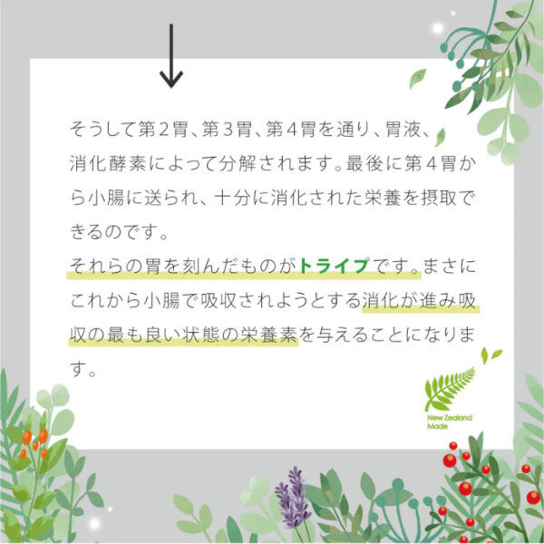 総合栄養食｜犬用・ニュートライプPURE・185g・全年齢用・愛犬の下部尿路の健康と関節の健康に配慮|undefined