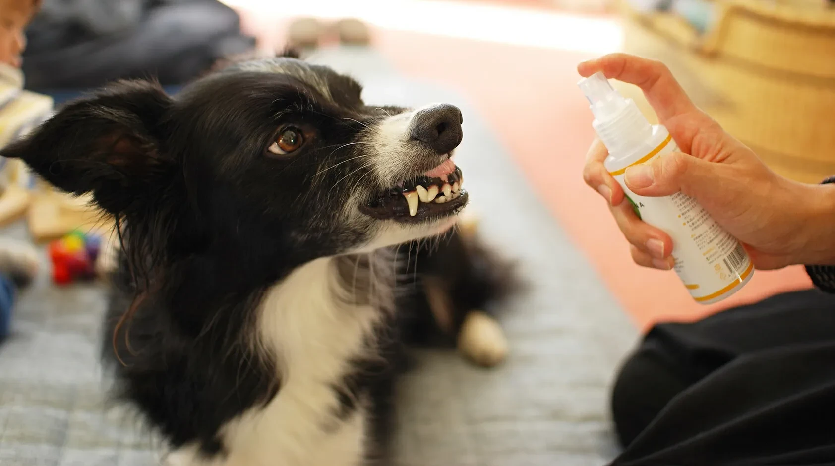 7190355665318223872.jpg?x-oss-process=image/format,webp