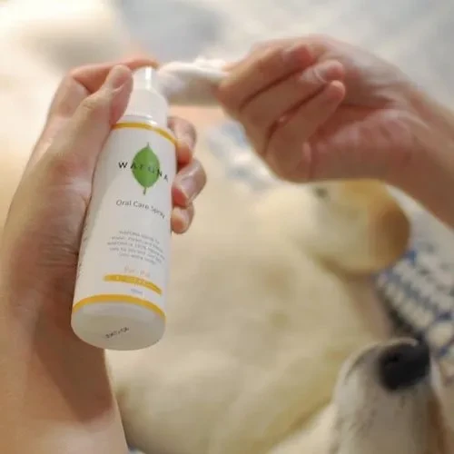 7190355666081587200.jpg?x-oss-process=image/format,webp