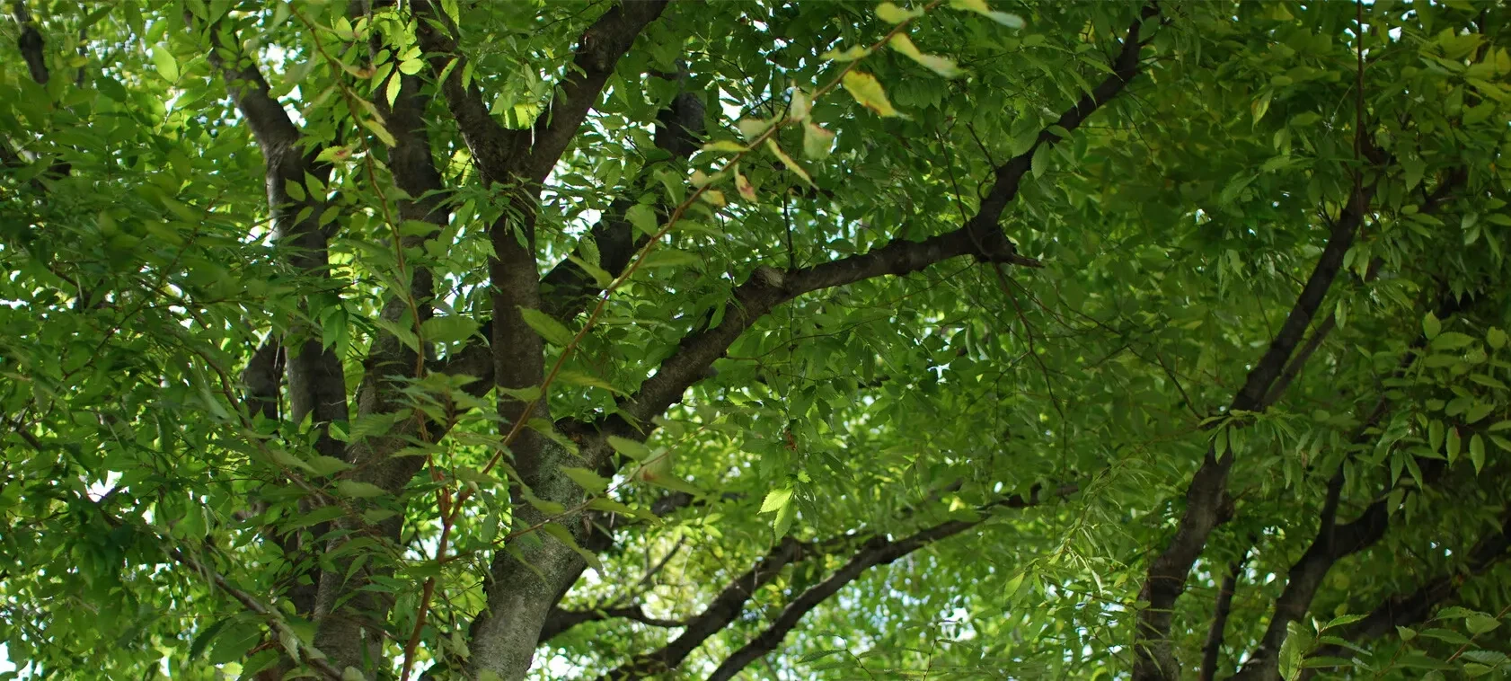 7190355671676788736.jpg?x-oss-process=image/format,webp