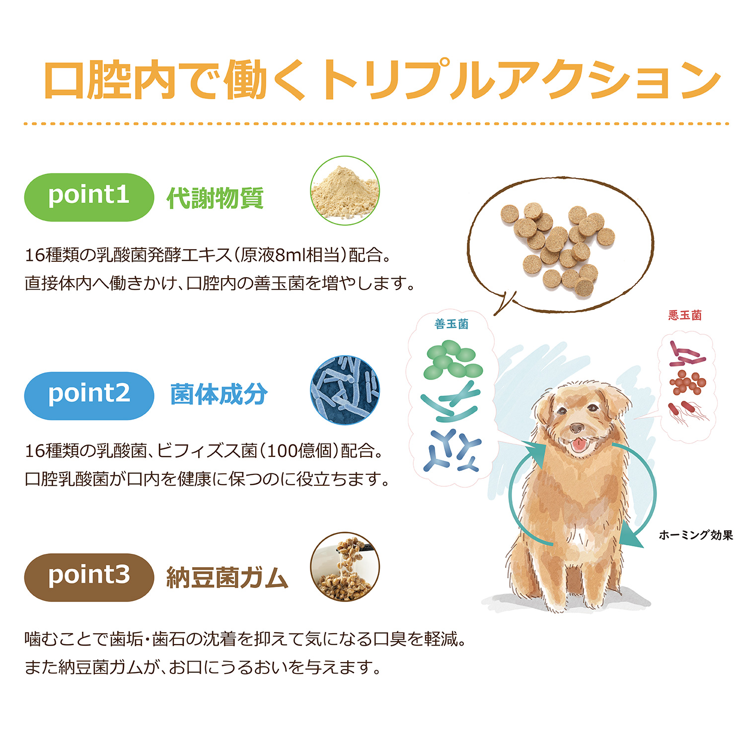 PREMEAL｜プレミール サプリメント・犬猫用・16種類の乳酸菌発酵エキス・ペットのケア|undefined