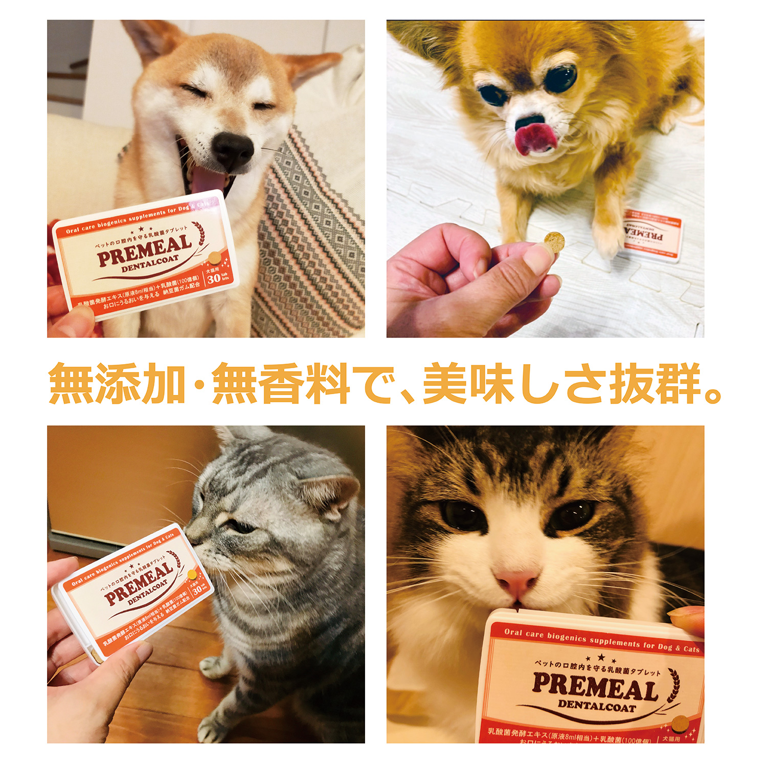 PREMEAL｜プレミール サプリメント・犬猫用・16種類の乳酸菌発酵エキス・ペットのケア|undefined