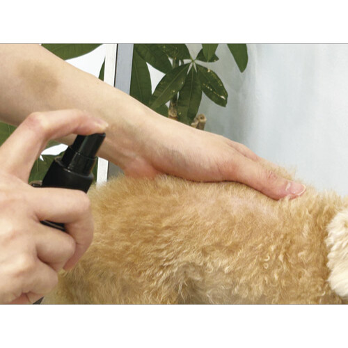 ペット用サプリ｜ ヴェルキュアバウ 腸用 パウダー 100ｇ×ワンプー 犬用モイストスプレー 100ml モイストスキン  グルタミン酸 栄養補助食品 犬猫用|undefined