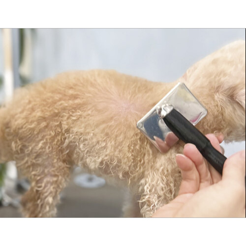 ペット用サプリ｜ ヴェルキュアバウ 腸用 パウダー 100ｇ×ワンプー 犬用モイストスプレー 100ml モイストスキン  グルタミン酸 栄養補助食品 犬猫用|undefined