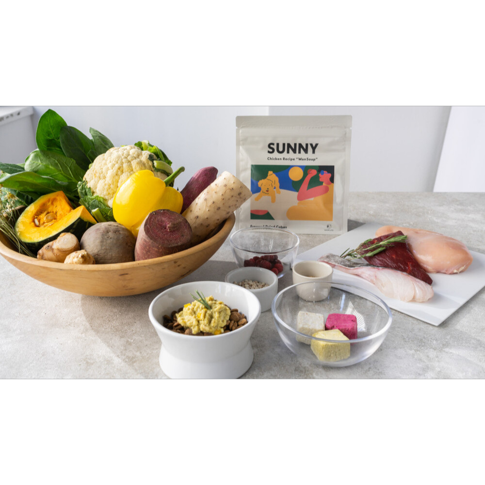 ペット用【WanSoup】｜SUNNY チキン フリーズドライスープ スタンダードサイズ 100g ワンスープ サニー(チキン)|undefined