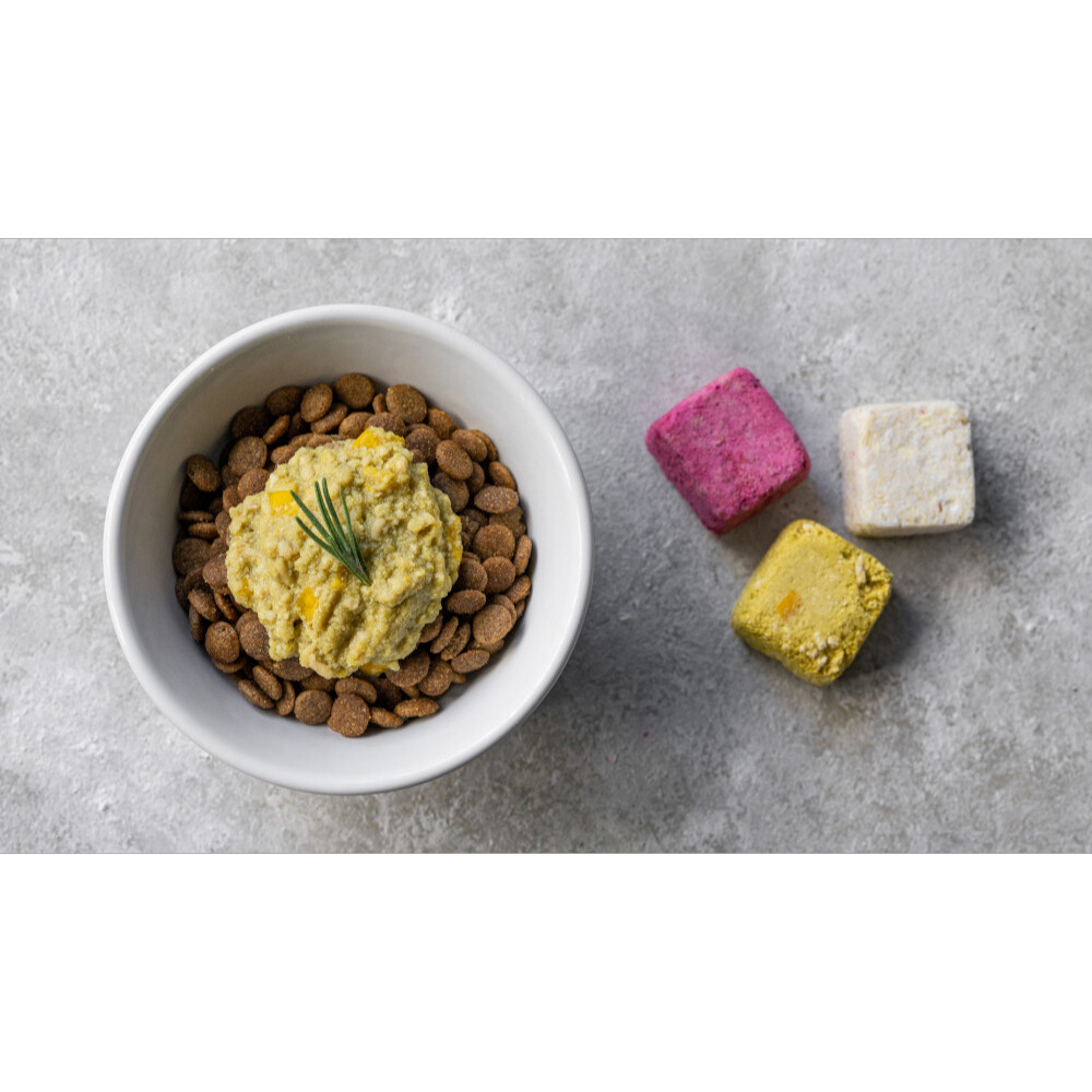 ペット用【WanSoup】｜SUNNY チキン フリーズドライスープ スタンダードサイズ 100g ワンスープ サニー(チキン)|undefined