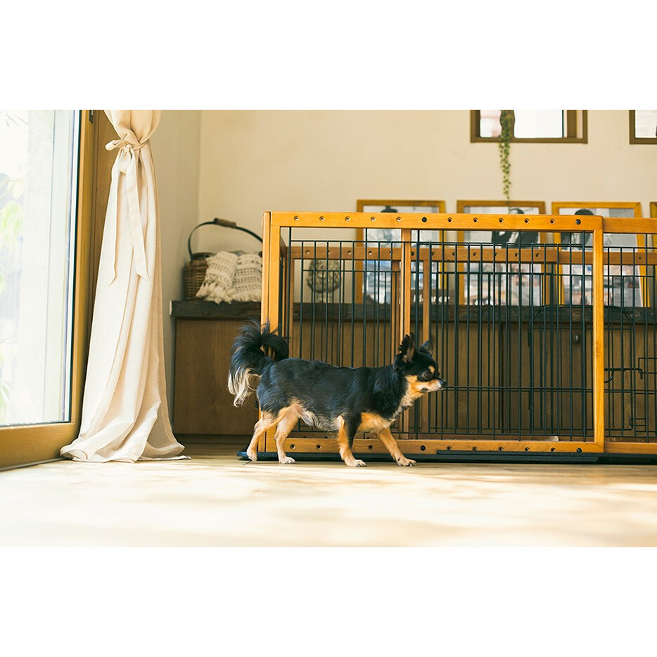 犬 関節 サプリ ｜アミノ18 1kg フィッシュ コラーゲン 犬 関節 介護 後ろ足 サプリメント パテラ チワワ 膝 亜 緑イ貝 関節ケア おすすめ |undefined
