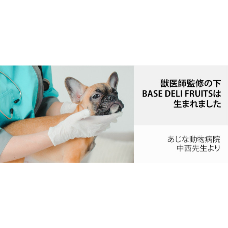 無添加 ペットフード｜愛犬用 手づくり・ごはんベース・ BASE DELI ドッグフード・ ホワイトフォックス・ ヒューマングレード ・WhiteFox|undefined