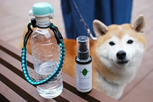 7190357755927109632.jpg?x-oss-process=image/format,webp