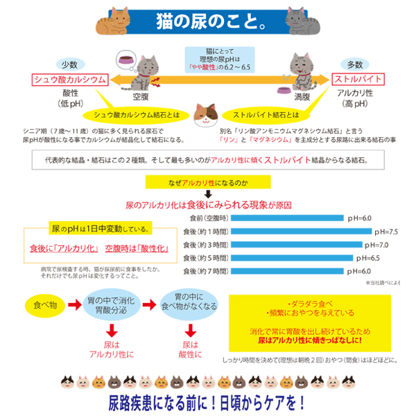 キャットウォーター｜ (4L) pH バランス猫用 飲み水 尿路結石予防 pHコントロール 0628504601013  ファンタジーワールド|undefined