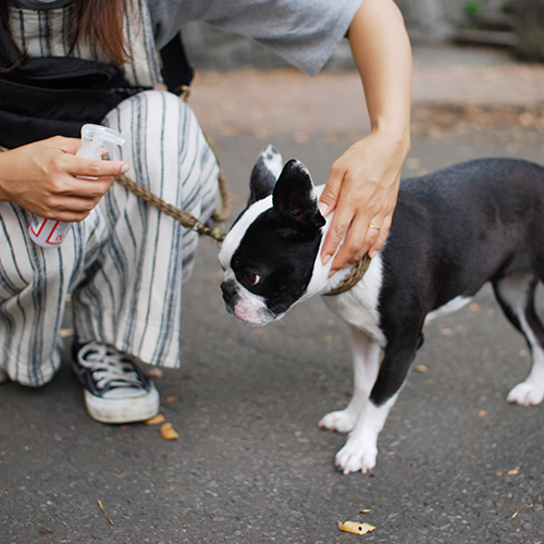 ペット用品｜WAFONA・アウトドアボディケアスプレー 犬猫用・天然成分・植物成分・化学合成物質不使用・保湿・害虫対策・安心・安全|undefined