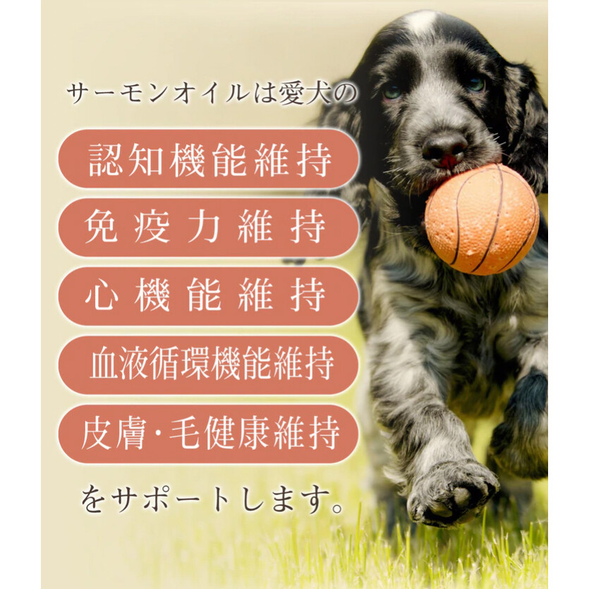 スプレッチ｜犬用フード・オイルスプレー ルミカ・安心の国産なので高品質|undefined