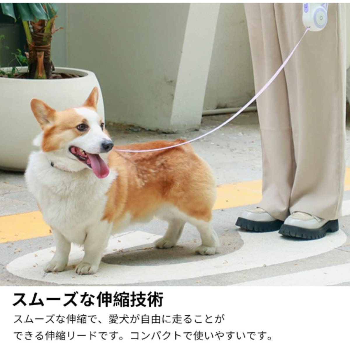 犬用リード 伸縮リード LEDライト 自動巻き式 | 小型 中型犬対応長さ5ⅿ 反射光 ロングリード ペット用品 旅行 通院 夜間散歩 アウトドア 耐久性 |undefined