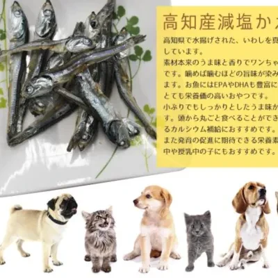 無添加 犬猫おやつ |高知県産減塩かえり煮干し 20ｇ 国産