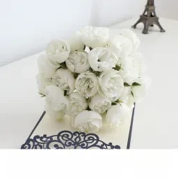 skuImage
