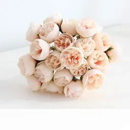 skuImage