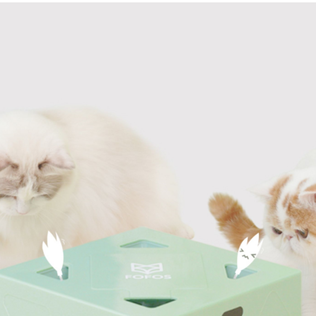 驚安 NEWキャットタワー 猫レーザー ポインター付 3 驚安 NEWキャットタワー 猫レーザー ポインター付 3