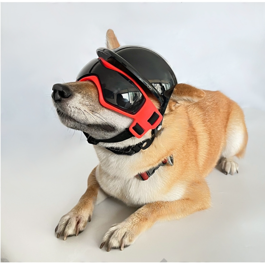 ペット用ヘルメットサングラスセット｜犬・安全・頭保護・バイク用|undefined