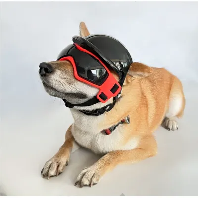 ペット用ヘルメットサングラスセット｜犬・安全・頭保護・バイク用