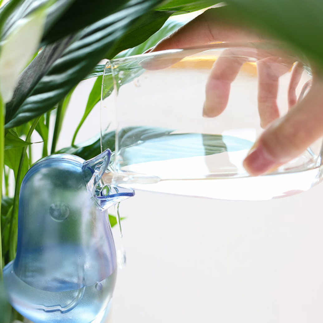 自動給水キャップ｜自動水やり器・植物自動給水・水やり当番・じょうろ・おしゃれ・室内・自動散水用具・自動灌水・鉢植え・植物・ガーデニング・留守対策・出張・旅行用|undefined